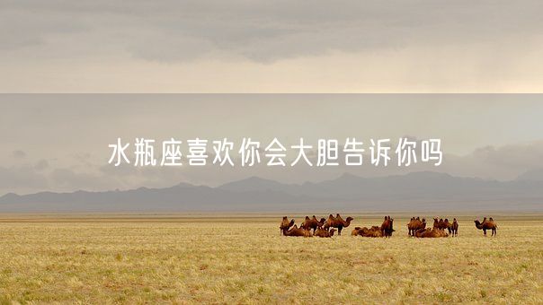 水瓶座喜欢你会大胆告诉你吗(图1)