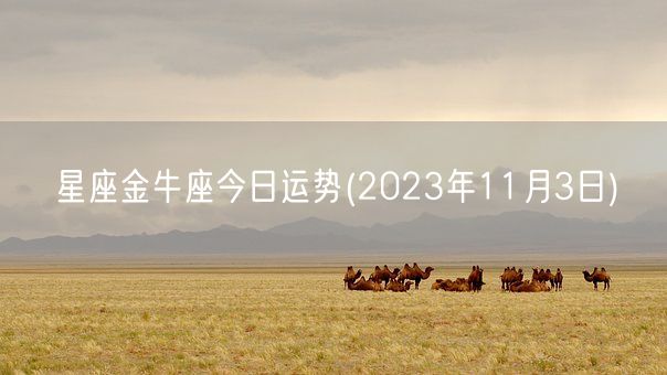 星座金牛座今日运势(2023年11月3日) (图1)