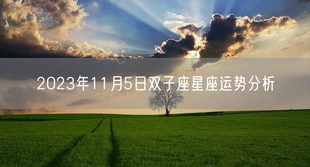 2023年11月5日双子座星座运势分析(图1)