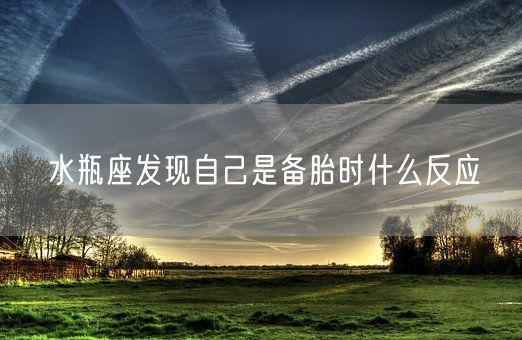 水瓶座发现自己是备胎时什么反应(图1)