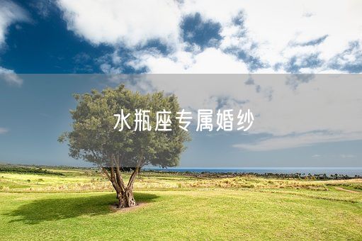 水瓶座专属婚纱(图1)