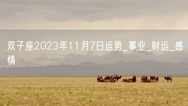 双子座2023年11月7日运势_事业_财运_感情(图1)