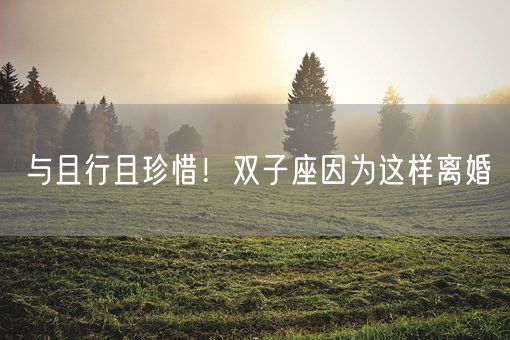 与且行且珍惜！双子座因为这样离婚(图1)