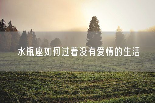 水瓶座如何过着没有爱情的生活(图1)