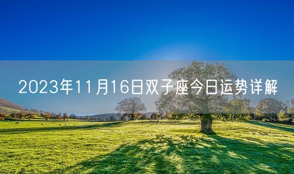 2023年11月16日双子座今日运势详解(图1)