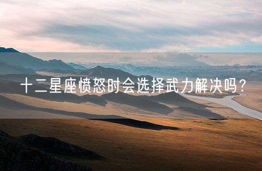 十二星座愤怒时会选择武力解决吗？(图1)