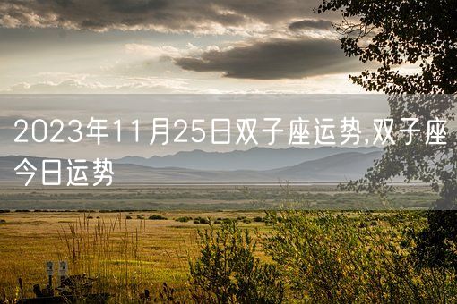 2023年11月25日双子座运势,双子座今日运势(图1)