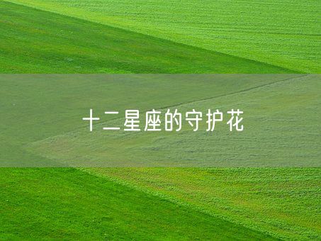 十二星座的守护花(图1)