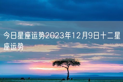 今日星座运势2023年12月9日十二星座运势(图1)