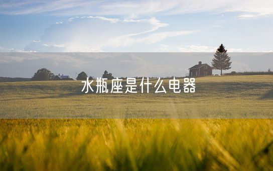 水瓶座是什么电器(图1)