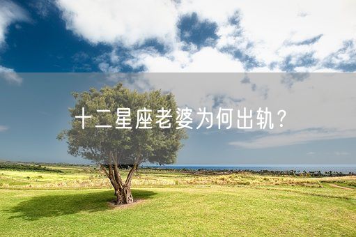 十二星座老婆为何出轨？(图1)