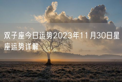 双子座今日运势2023年11月30日星座运势详解(图1)