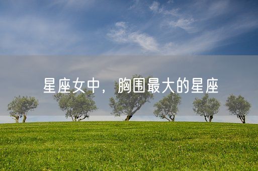 星座女中，胸围最大的星座(图1)