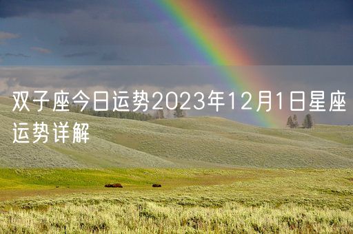 双子座今日运势2023年12月1日星座运势详解(图1)