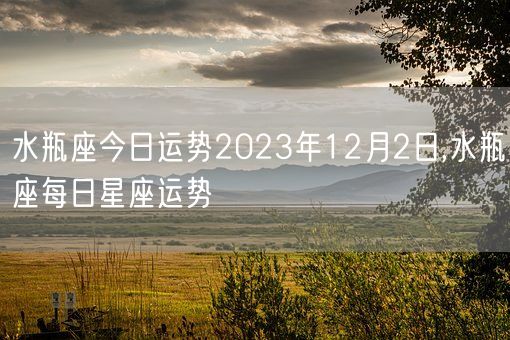 水瓶座今日运势2023年12月2日,水瓶座每日星座运势(图1)