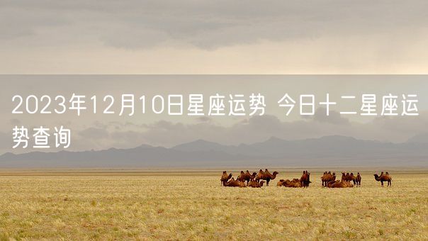 2023年12月10日星座运势 今日十二星座运势查询(图1)