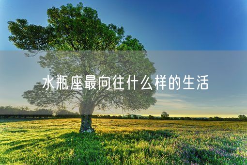 水瓶座最向往什么样的生活(图1)