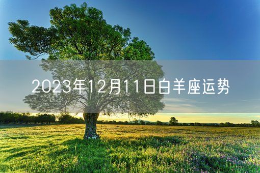 2023年12月11日白羊座运势(图1)