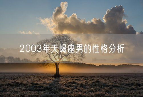 2003年天蝎座男的性格分析(图1)