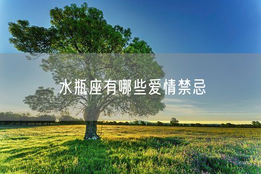 水瓶座有哪些爱情禁忌(图1)