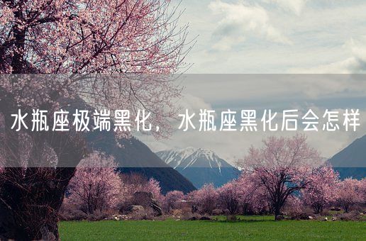 水瓶座极端黑化，水瓶座黑化后会怎样(图1)