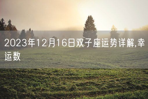 2023年12月16日双子座运势详解,幸运数(图1)