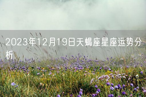 2023年12月19日天蝎座星座运势分析(图1)