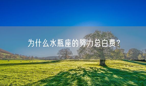 为什么水瓶座的努力总白费？(图1)