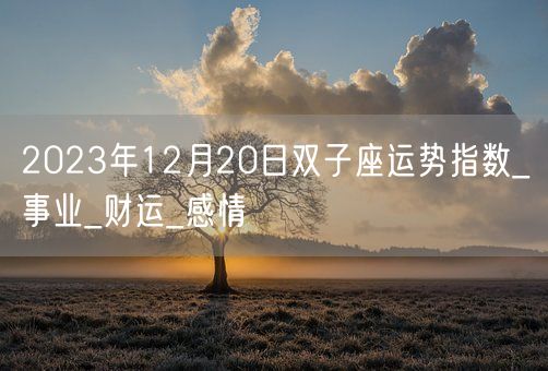 2023年12月20日双子座运势指数_事业_财运_感情(图1)