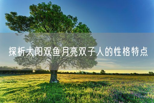 探析太阳双鱼月亮双子人的性格特点(图1)