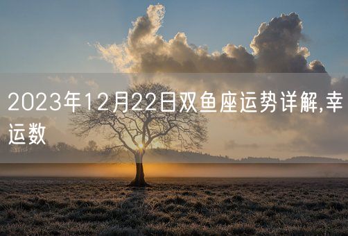 2023年12月22日双鱼座运势详解,幸运数(图1)