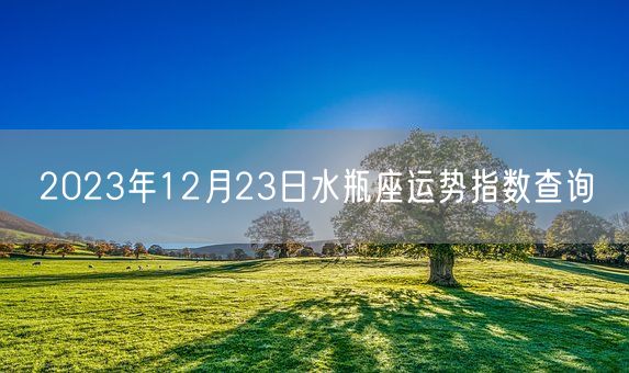 2023年12月23日水瓶座运势指数查询(图1)