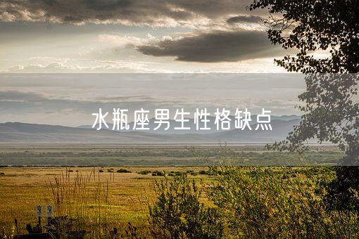 水瓶座男生性格缺点(图1)