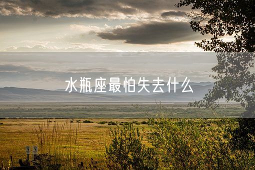 水瓶座最怕失去什么(图1)