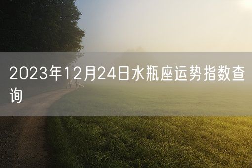 2023年12月24日水瓶座运势指数查询(图1)