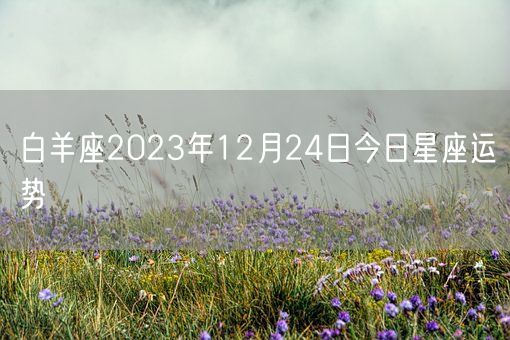 白羊座2023年12月24日今日星座运势(图1)