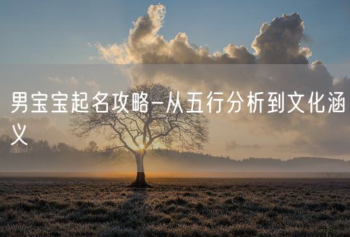 男宝宝起名攻略-从五行分析到文化涵义(图1)