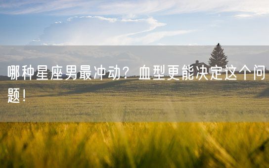 哪种星座男最冲动？血型更能决定这个问题！(图1)