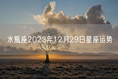 水瓶座2023年12月29日星座运势(图1)