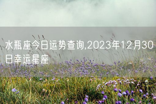 水瓶座今日运势查询,2023年12月30日幸运星座(图1)