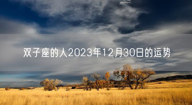 双子座的人2023年12月30日的运势(图1)