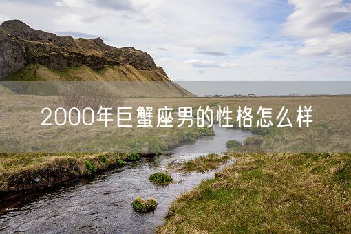 2000年巨蟹座男的性格怎么样(图1)