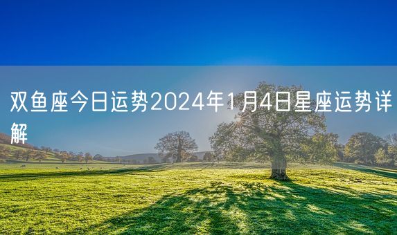 双鱼座今日运势2024年1月4日星座运势详解(图1)