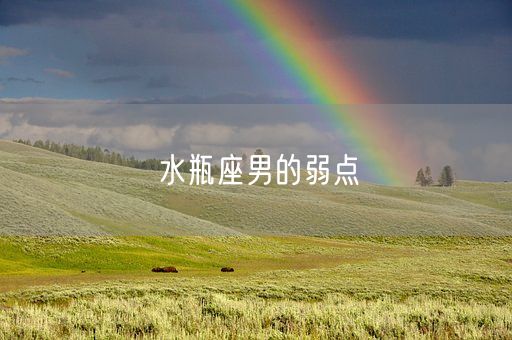 水瓶座男的弱点(图1) 水瓶座男的弱点(图1)