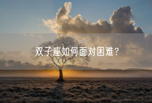 双子座如何面对困难？(图1)