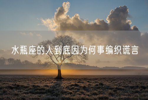 水瓶座的人到底因为何事编织谎言(图1)