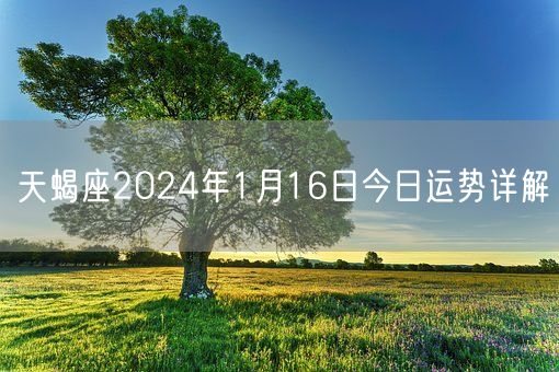 天蝎座2024年1月16日今日运势详解(图1)