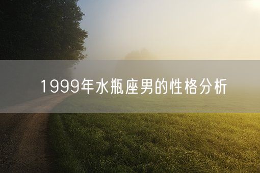 1999年水瓶座男的性格分析(图1)