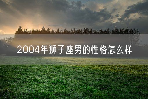 2004年狮子座男的性格怎么样(图1)