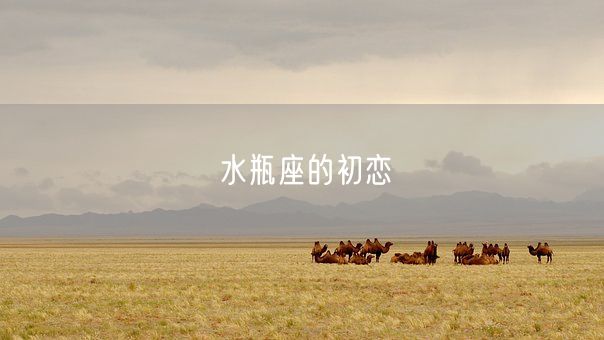 水瓶座的初恋(图1)